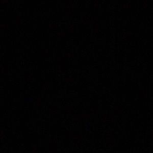 Meet your Posher, Ella